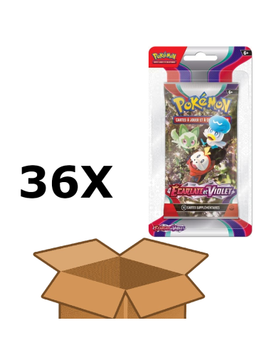 Case de 36 boosters EV01 Ecarlate et violet  [FR] - Accueil | Keytwo.be votre boutique Pokémon de référence